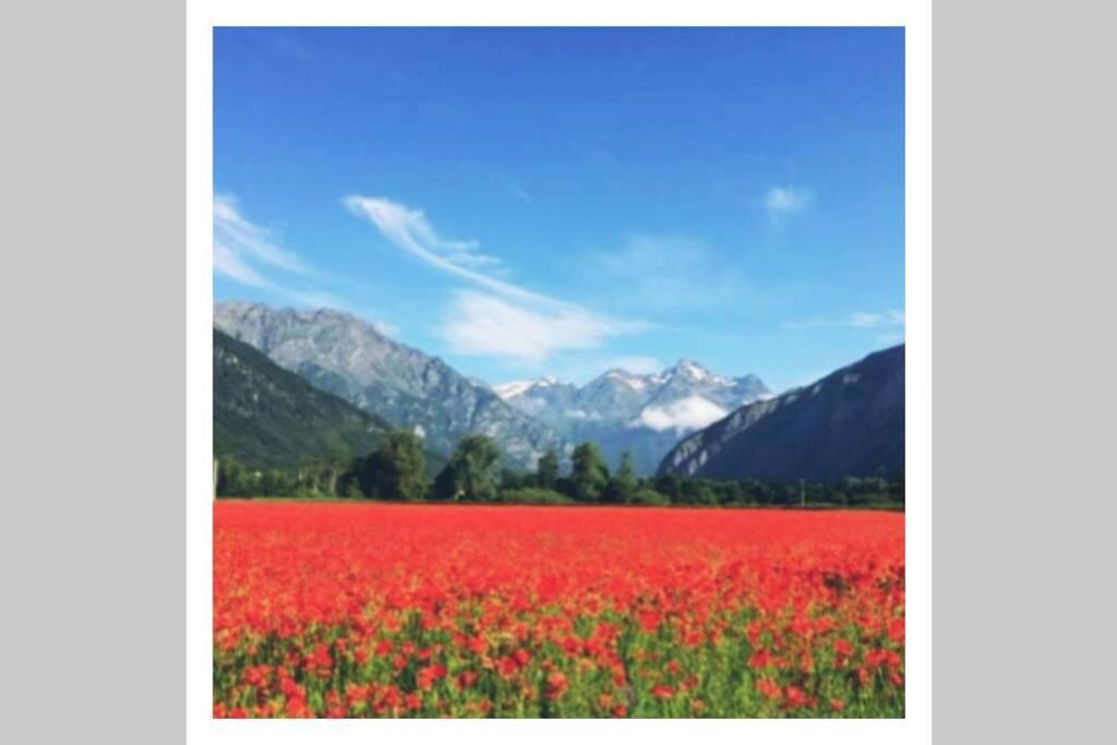 L'Edelweis Διαμέρισμα Le Bourg-dʼOisans Εξωτερικό φωτογραφία